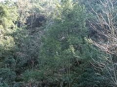 -藏龙百瀑风景区