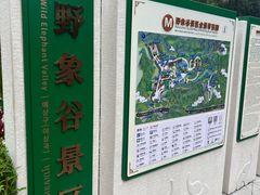 -野象谷景区