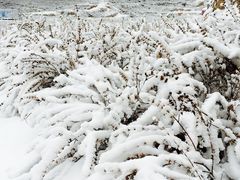 景点-薰衣草NE庄园