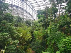 -南山植物园