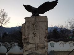 -北京鹫峰国家森林公园