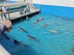 -秦皇岛乐岛海洋王国