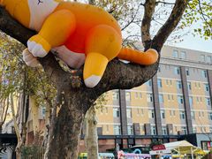 -西安电影制片厂