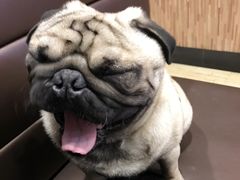 -胖哥俩肉蟹煲(淮安万达店)