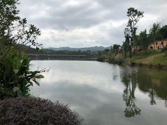 -枫香湖儿童公园