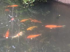 -燕晗山郊野公园