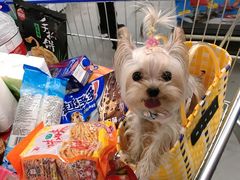 -麦德龙(郑东店)