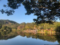 -深圳仙湖植物园