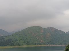 -燕塞湖鸟语林景区