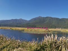 -腾冲北海湿地
