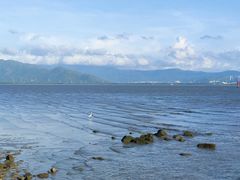 -深圳湾公园(南山区)