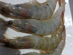 -外婆掌柜·东北家庭烤肉(托乐嘉店)