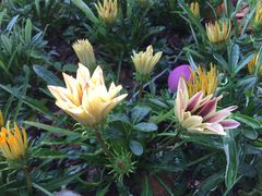 -龙环葡韵住宅式博物馆