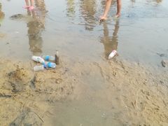 -碧海金沙