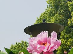 -东湖磨山景区