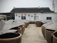 -苏州市吴中区光福窑上花果蜜饯厂