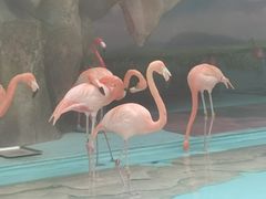 -哈尔滨极地公园