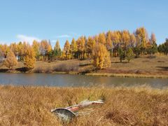 -塞罕坝国家级自然保护区