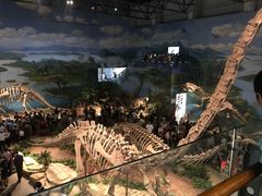 -自贡恐龙博物馆