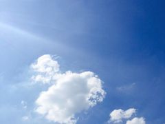 华夏国际影城(鲁广店)-武汉华夏国际影城(鲁广店)