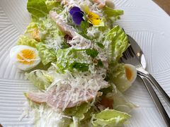 经典凯撒沙拉-EN SPACE恩空间