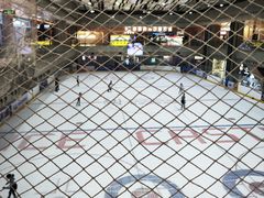 -冰堡国际溜冰场(观澜湖新城MHMALL店)