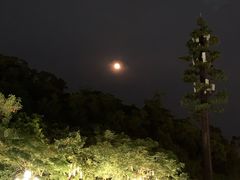 -野狸岛