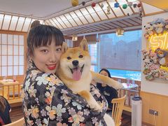-豆柴町-柴犬主题狗咖(红鼎国际C座店)