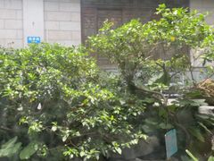 -东江渔村·古典园林·30年粤菜老字号(太和店)