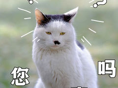 -西园寺