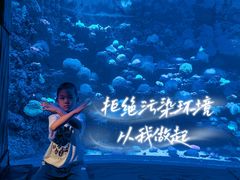 -太平洋海底世界