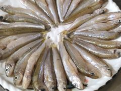 小鱼-三峡农家菜(三峡店)