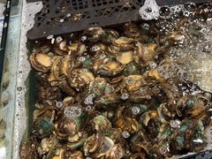 -亚马逊环球美食百汇(新城吾悦广场店)