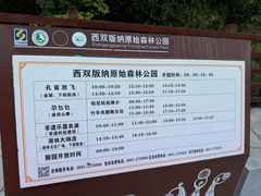 -西双版纳原始森林公园