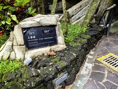 -海口观澜湖火山温泉谷