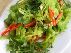 -煲来饱去冷水鱼