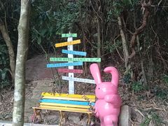 -亚龙湾热带天堂森林公园