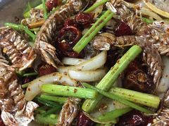 -辣盆盆麻辣小龙虾(哈尔滨总店)