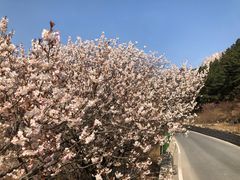 -崂山九水游览区