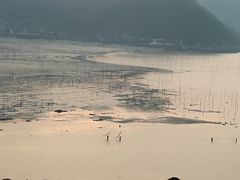 -北岐滩涂