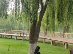 -鼎泰中汇广场