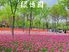 -郑州中国绿化博览园