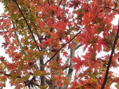 -白鹭湾湿地公园