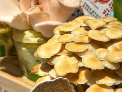 -烹然四季椰子鸡火锅(姚家园万象汇店)