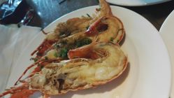 -苏州希尔顿酒店-宴会厅