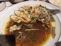 -WILDS 野有食(碧坞店)