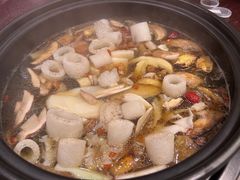 -滇野云南野生菌餐厅(陕西南路店)