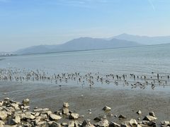 -深圳湾公园(南山区)