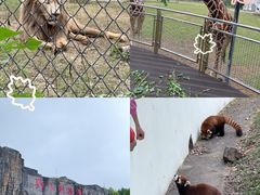 -合肥野生动物园