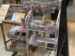 -十八字金银饰·拼豆·开蚌手工体验团建(君太百货店)